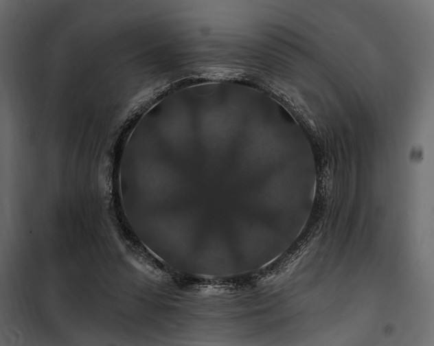 X0000100750303200806191150