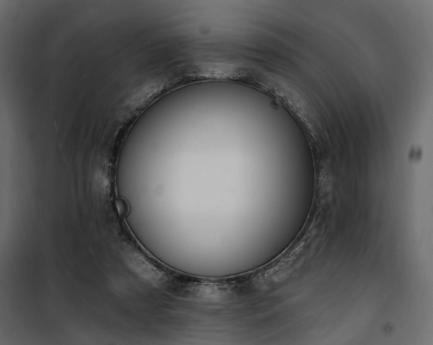 X0000100750305200806191150