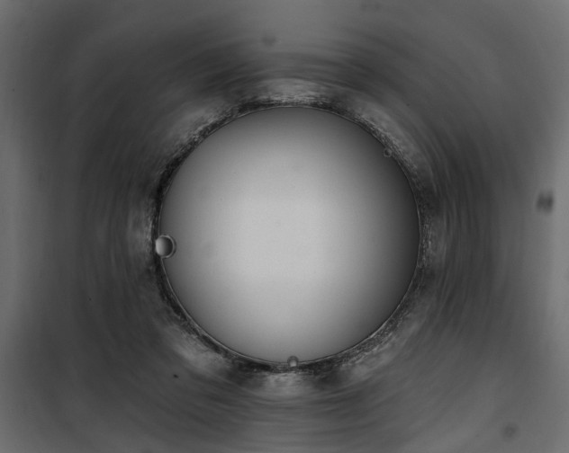 X0000100750309200806191150