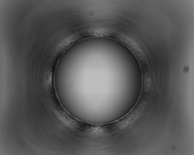 X0000100750310200806191150