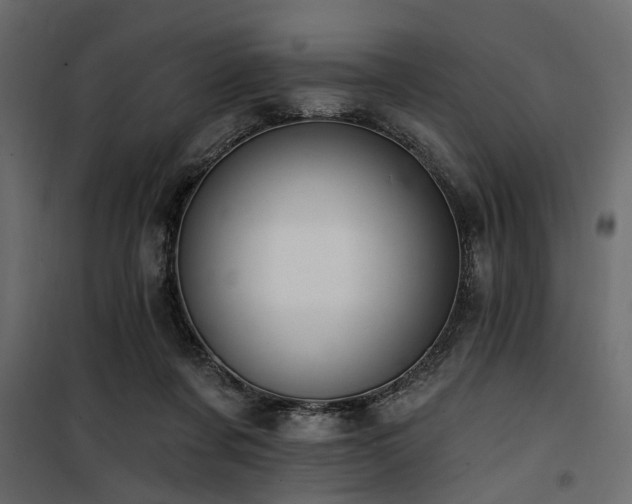 X0000100750311200806191150