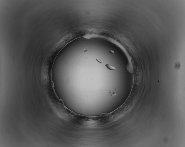 X0000100750312200806191150