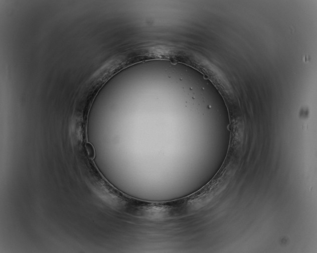 X0000100750313200806191150