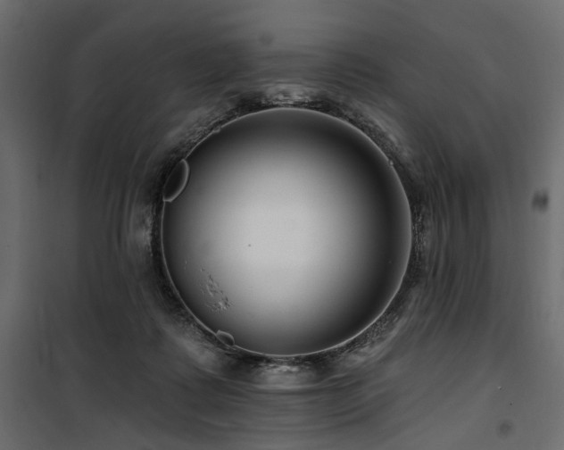 X0000100750315200806191150