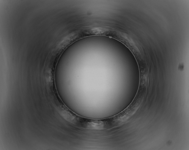 X0000100750317200806191150