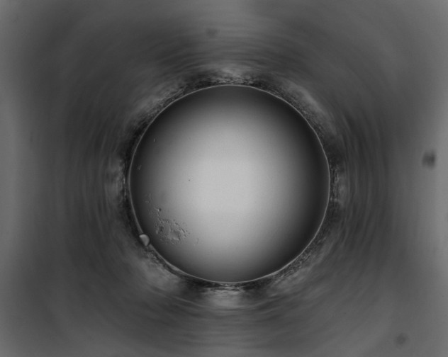 X0000100750318200806191150