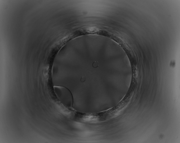 X0000100750319200806191150