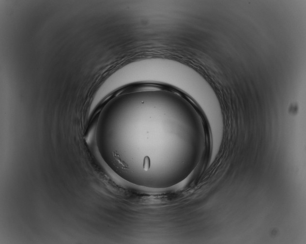 X0000100750320200806191150