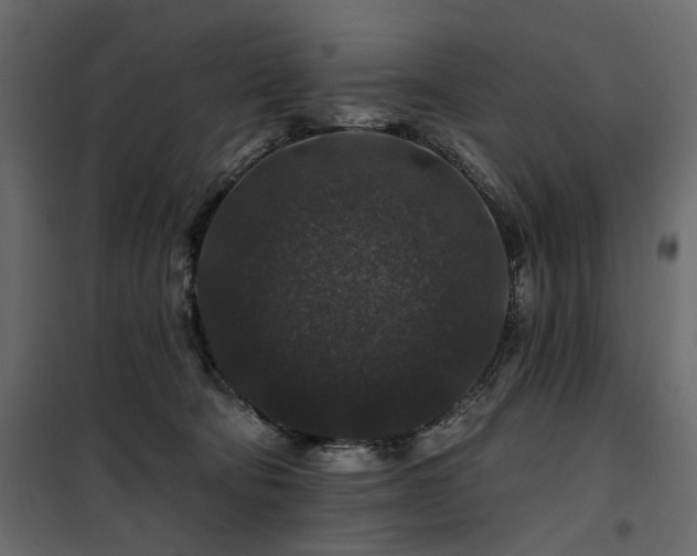 X0000100750322200806191149