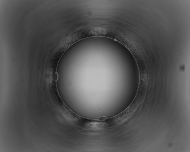 X0000100750323200806191149