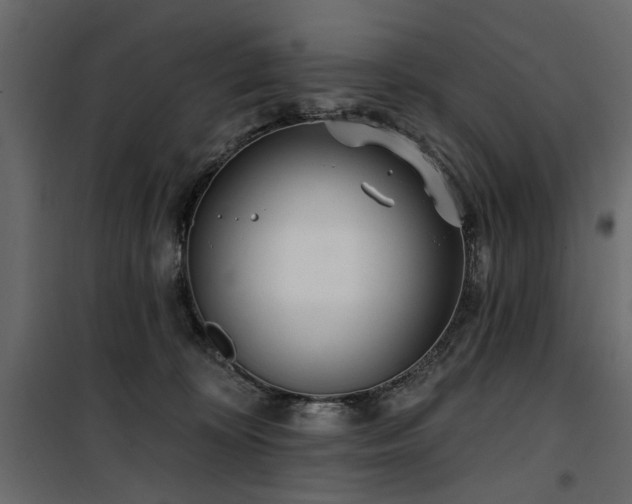 X0000100750324200806191149