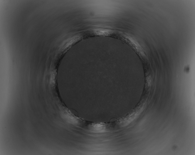 X0000100750325200806191149