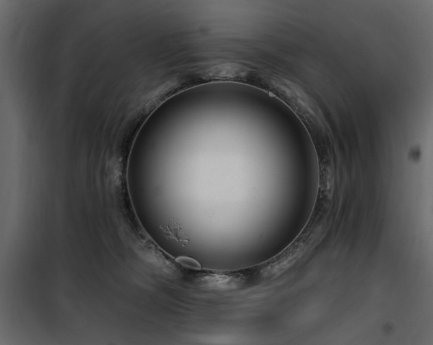 X0000100750326200806191149