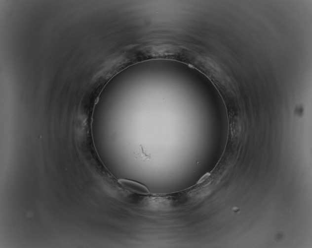 X0000100750327200806191149