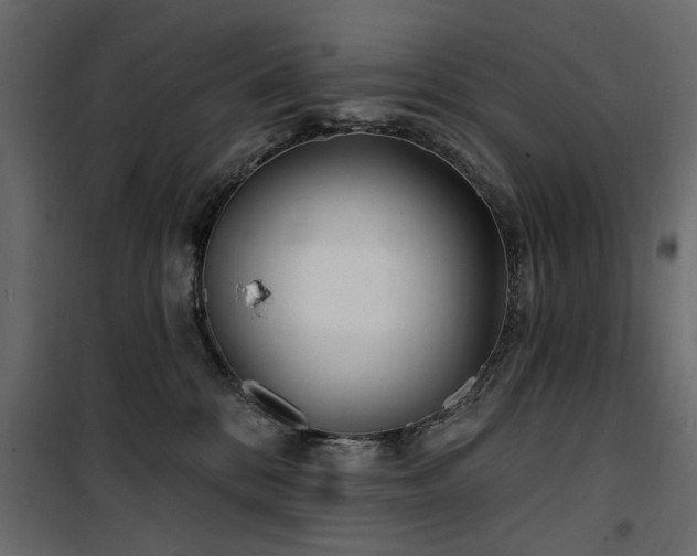 X0000100750328200806191149