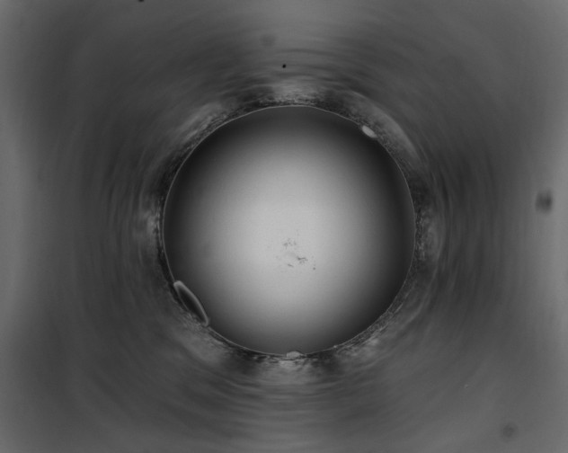 X0000100750329200806191149