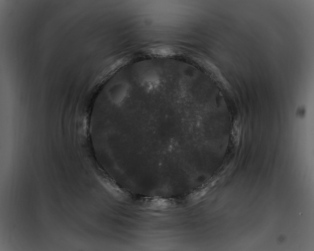 X0000100750330200806191149