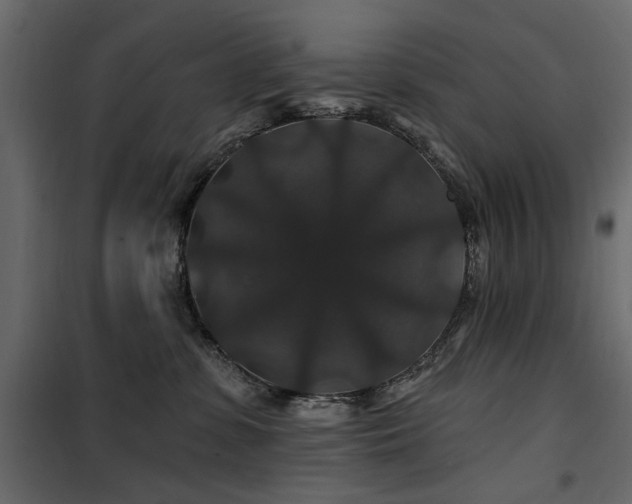 X0000100750331200806191149