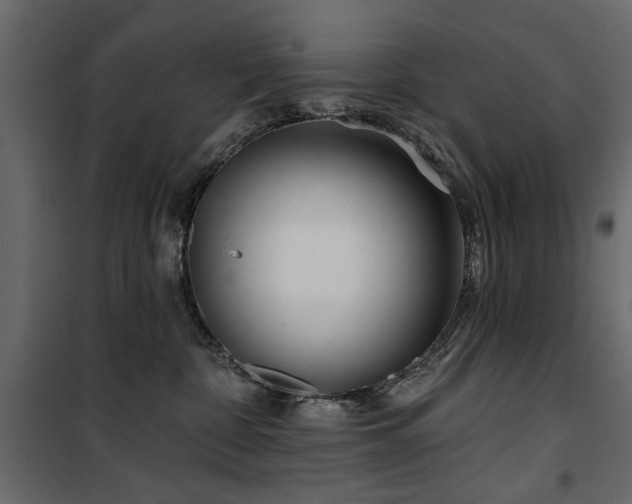 X0000100750332200806191149