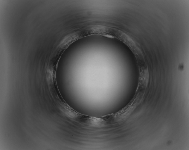 X0000100750333200806191149