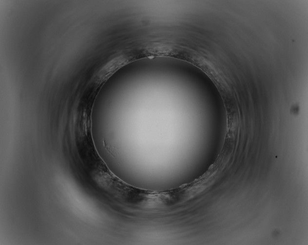 X0000100750334200806191149