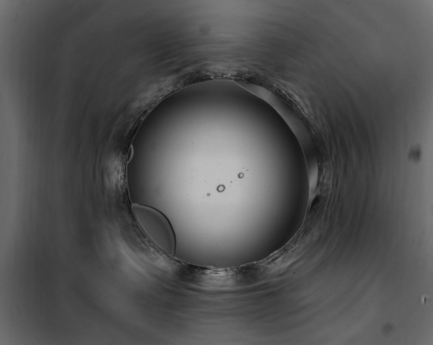 X0000100750335200806191149