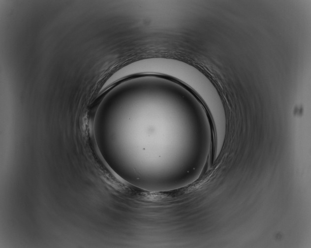 X0000100750336200806191149