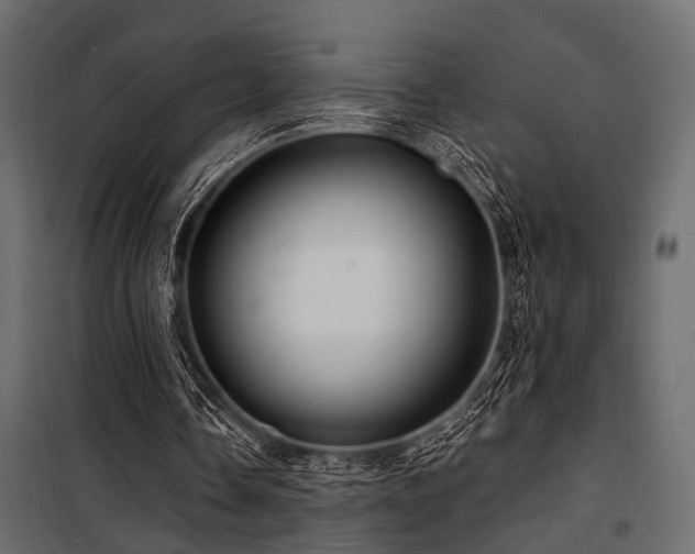 X0000100750338200806191149