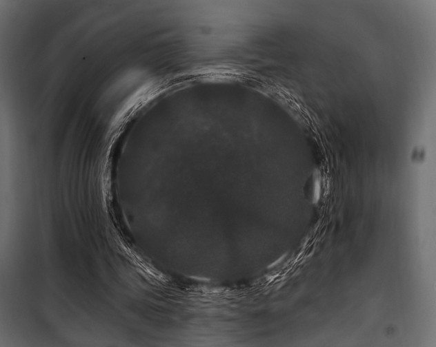 X0000100750339200806191149