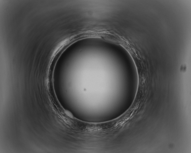 X0000100750340200806191149