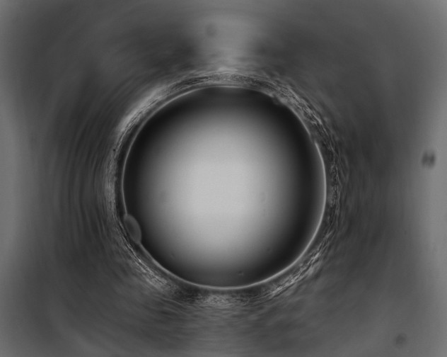 X0000100750341200806191149