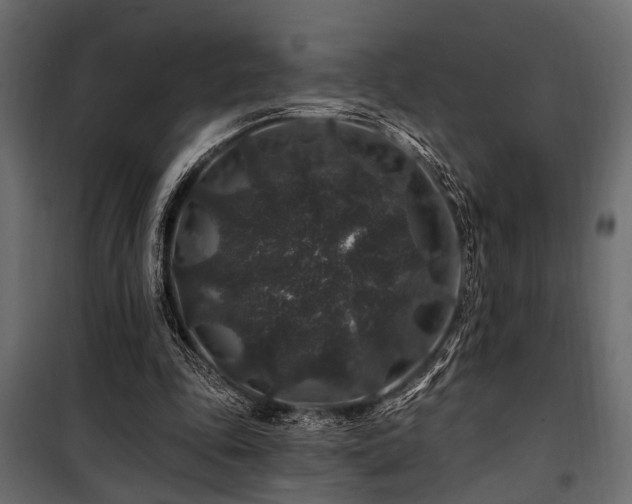 X0000100750343200806191149