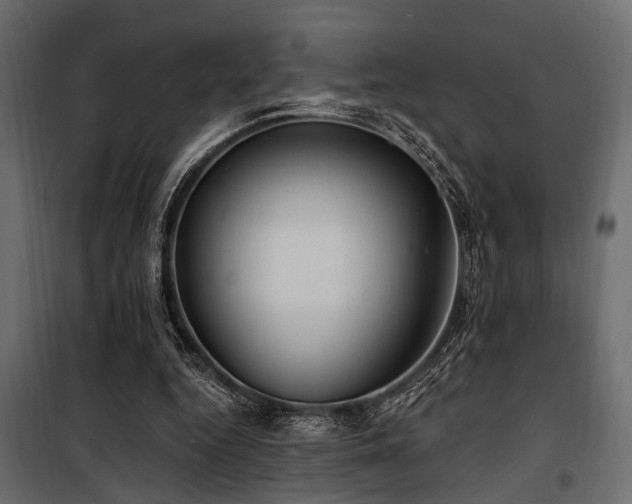 X0000100750344200806191149