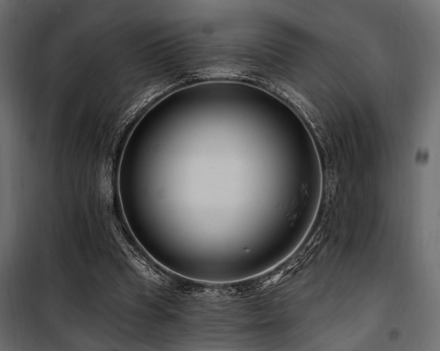 X0000100750345200806191149