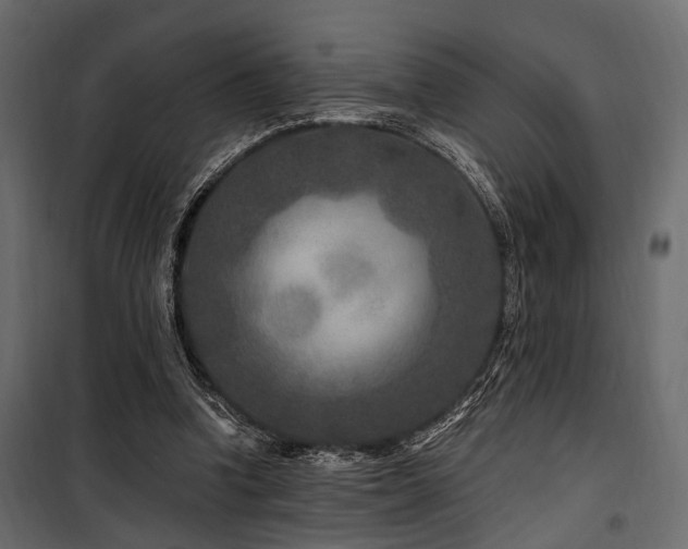 X0000100750346200806191149