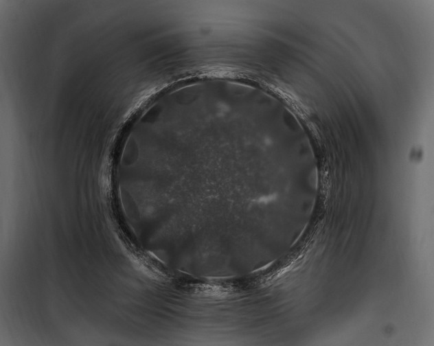 X0000100750347200806191149