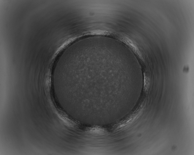 X0000100750348200806191149