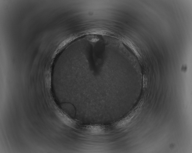 X0000100750349200806191149