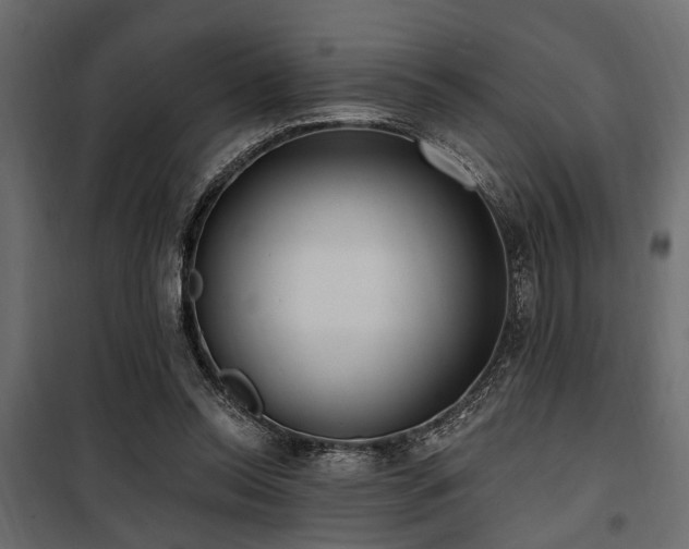 X0000100750350200806191149