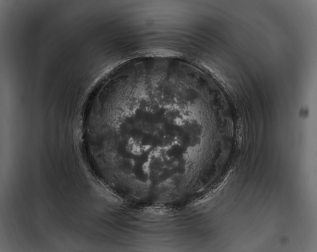 X0000100750351200806191149