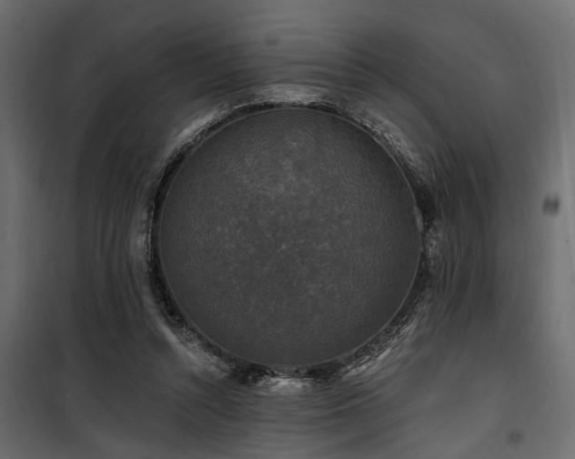 X0000100750352200806191149