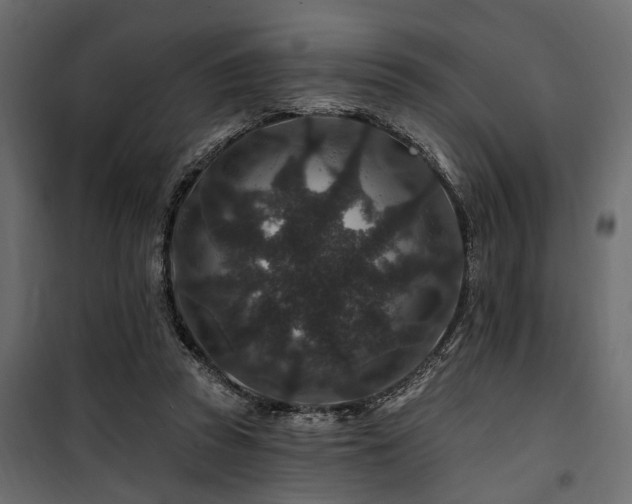 X0000100750353200806191149