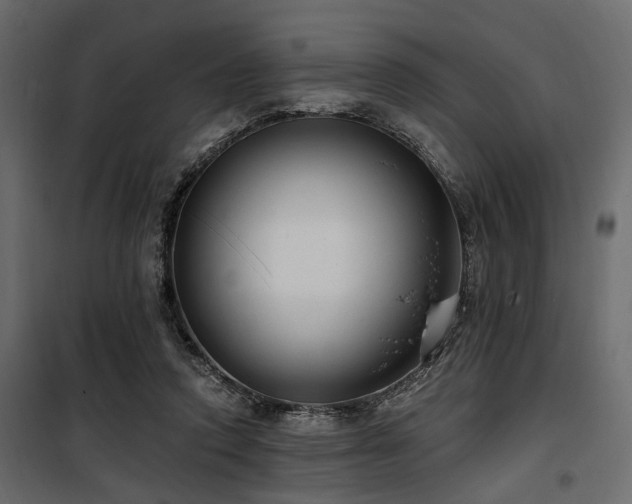 X0000100750354200806191149