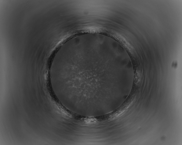 X0000100750355200806191149