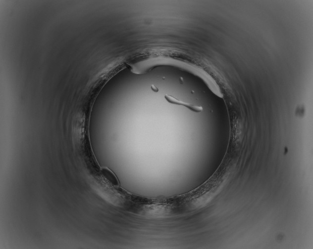 X0000100750356200806191149