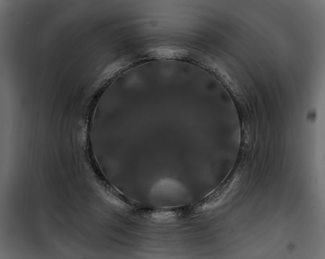 X0000100750357200806191149