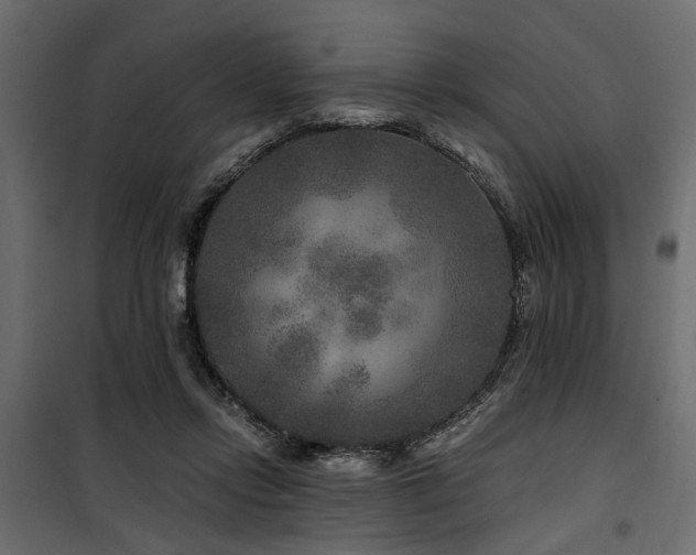 X0000100750358200806191149