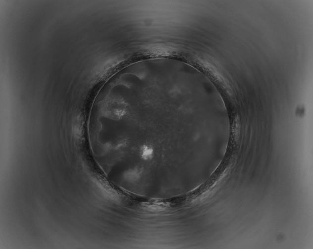 X0000100750359200806191149