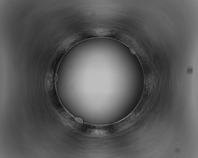 X0000100750360200806191149