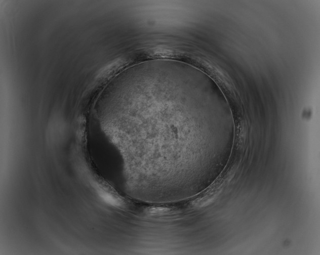 X0000100750361200806191149